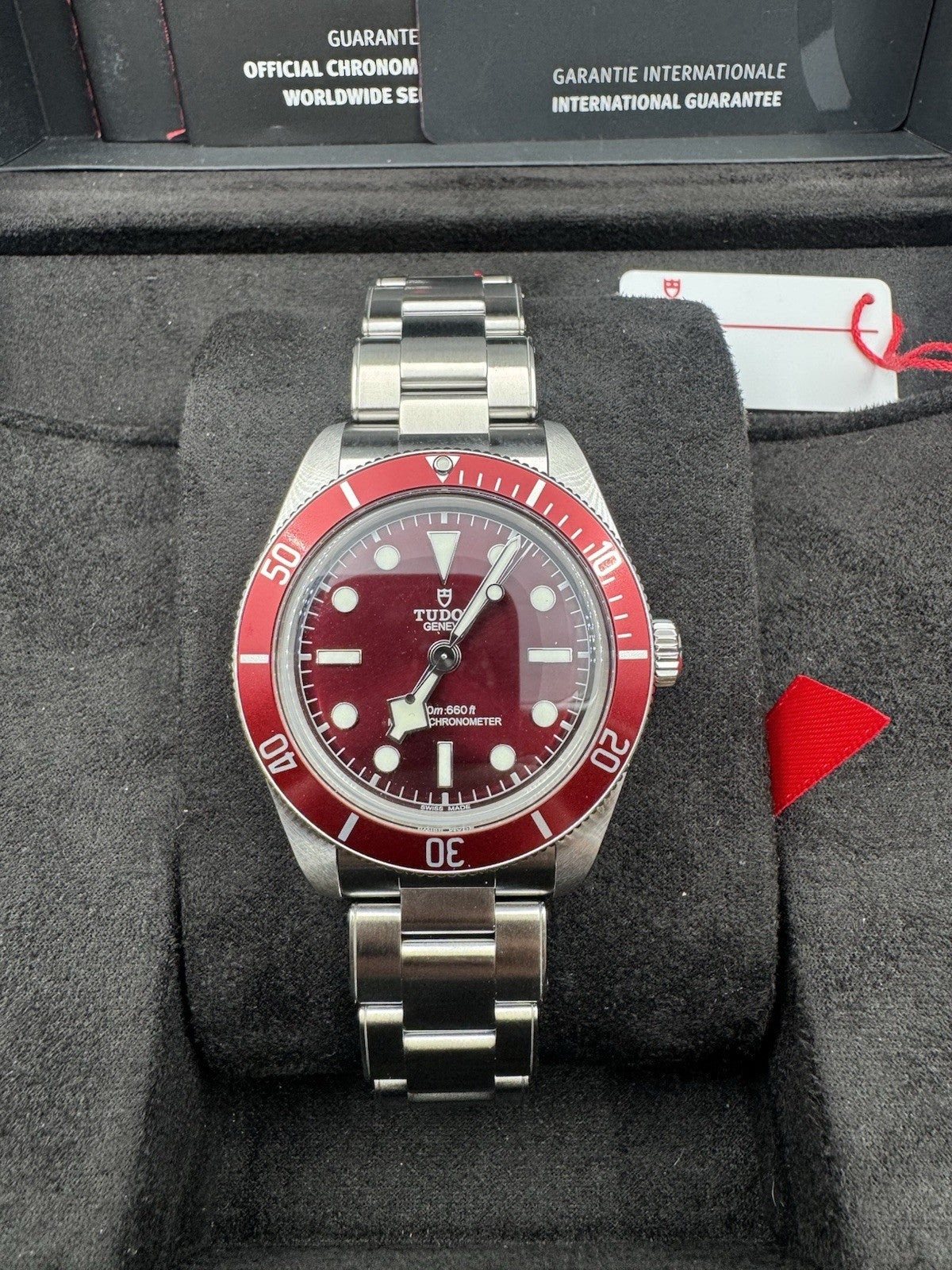 Tudor Black Bay 58 Burgundy Oyster Watch