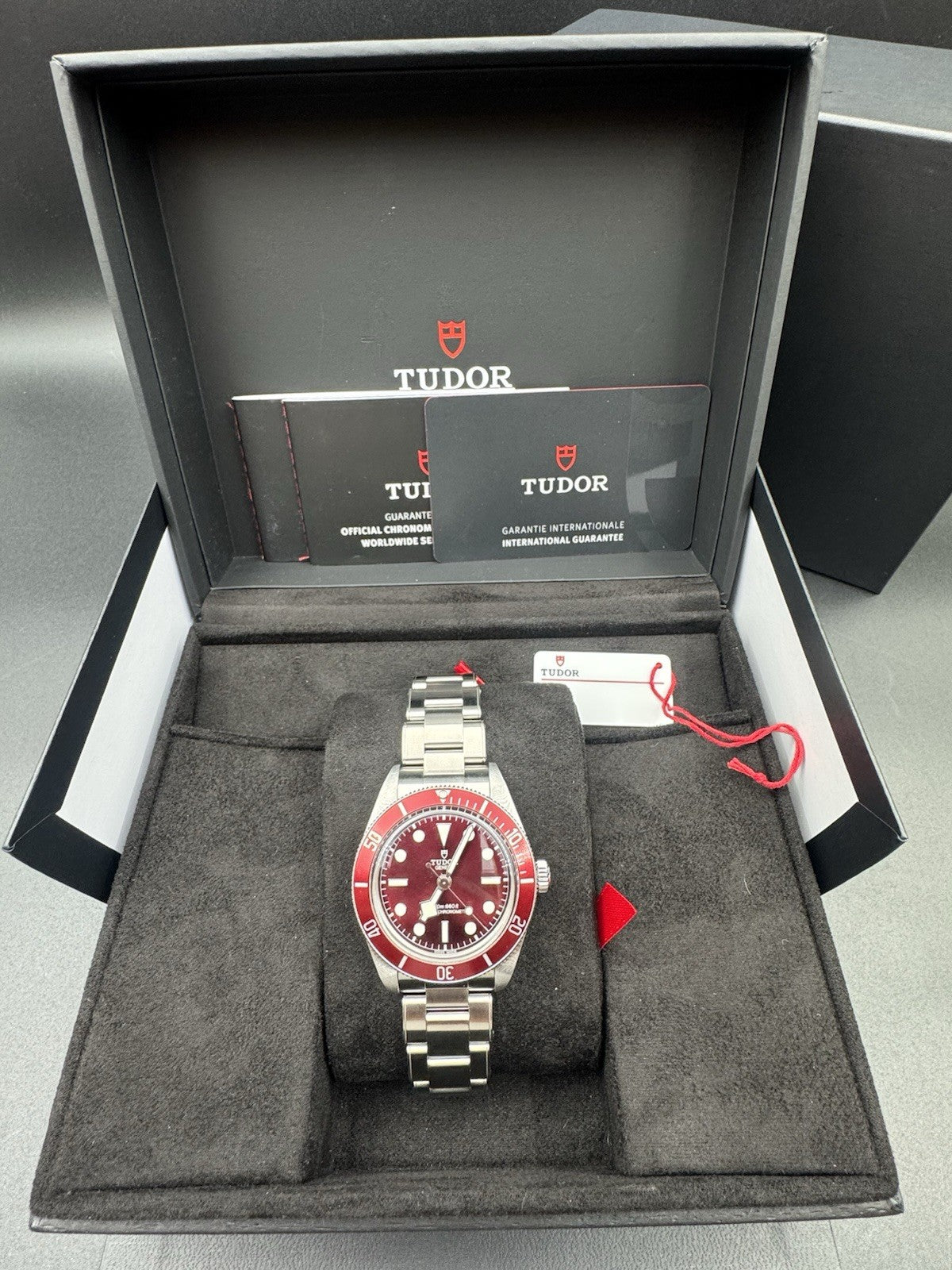 Tudor Black Bay 58 Burgundy Oyster Watch